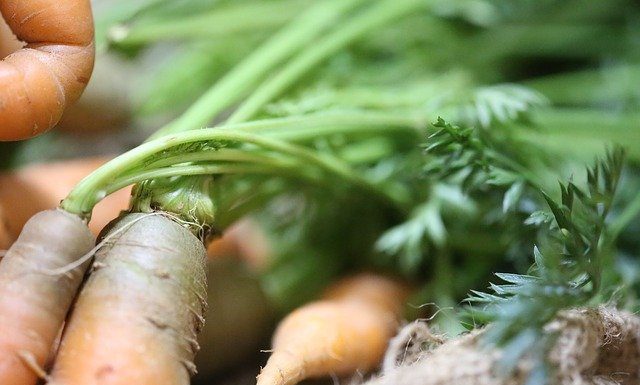 Beta karoten – dlaczego warto wprowadzić go do diety