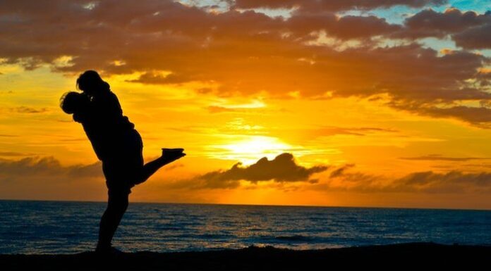 Gadżety i akcesoria Sensu, które umilą Wam czas podczas wspólnych podróży