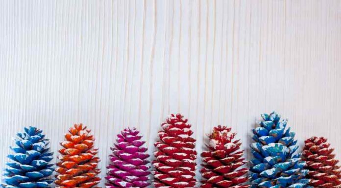 Gatunki i odmiany ozdobnych krzewów iglastych do użycia w ogrodzie: przegląd i zastosowanie