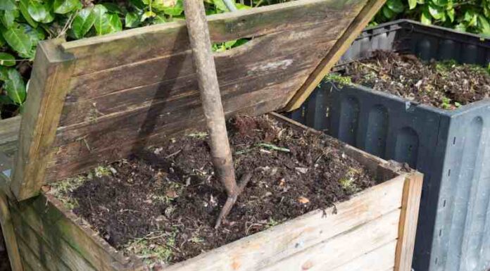 Nowoczesne i praktyczne skrzynie ogrodowe do przechowywania i nie tylko Skrzynie ogrodowe: nowoczesność i funkcjonalność dla przechowywania i więcej