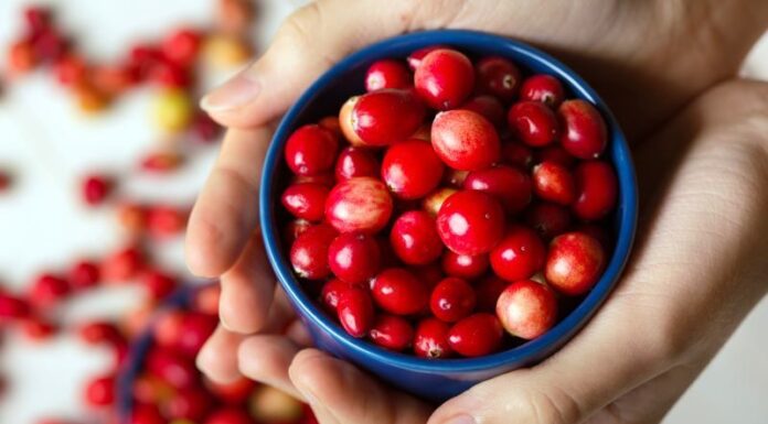 "Zurawina - Superfood z niezwyklymi korzysciami dla zdrowia"