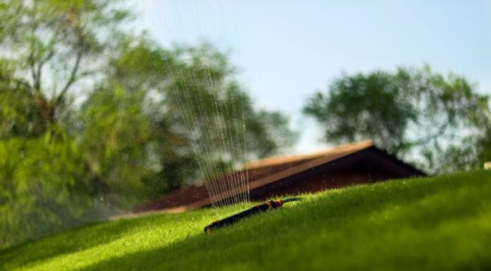 Automatyczne podlewanie trawników, co warto wiedzieć Jakie są ważne informacje o automatyzacji podlewania trawników?