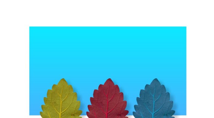 Uprawa najpiękniejszych gatunków dębów ozdobnych w ogrodzie Uprawa najpiękniejszych gatunków dębów ozdobnych w ogrodzie