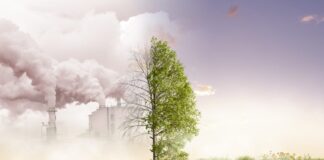 Nowe technologie w sektorze zielonej energii