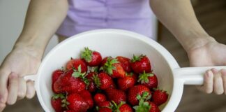 Jak nawadniać i nawozić truskawki ekologiczne środkami by uzyskać wyśmienite owoce