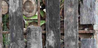 Gdzie nabyć starodawne elementy drewniane do detalicznej sprzedaży i jak wykorzystać je w domu?