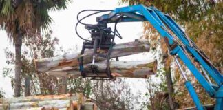 Pilarka z wysięgnikiem – zalety w porównaniu do tradycyjnej piły łańcuchowej