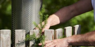 Jak stworzyć ozdobny płot z drewna do ogrodu